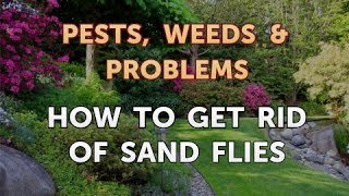 How to Get Rid of Sand Flies [upl. by Hastie]