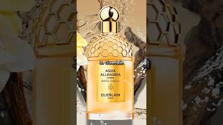 Top 10 Perfume Brands In The World 2024  shorts perfume chanel brand [upl. by Maghutte]