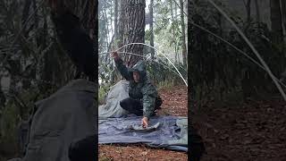 solo camping heavy rain relaxing rain sound and thunder shorts solocamping [upl. by Kcirdez]