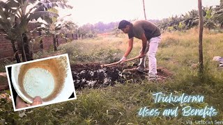 Trichoderma  What is Trichoderma  Uses and Benefits  ट्राइकोडर्मा अनुकूल फफूंद  कवक [upl. by Teriann]