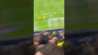 Watford fans Sheffield Wednesday away championship shorts footballpassion [upl. by Aicia659]