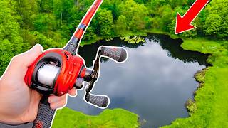 Fishing for 15lb Bass in HIDDEN Pond [upl. by Mellitz]