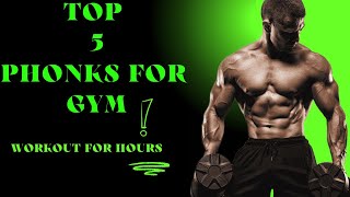 TOP 5 PHONKS FOR GYM slowed viralvideophonkphonkgeeaudioeffectmangoesbesttop5 [upl. by Arleta]