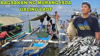 Bagsakan ng Murang isda Galing sa laot sariwa isda dito at mga pusit [upl. by Salta]