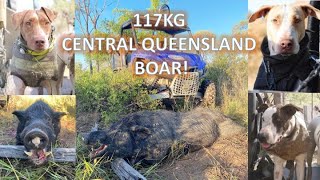 117kg BOAR Central Queensland Pig Hunting [upl. by Yvon]