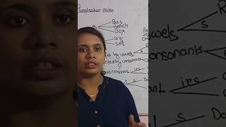 Grammar Essentials Pluralization Rules for Beginners Full video in related video [upl. by Idnerb402]