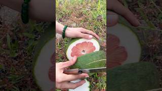 Cutting Grapefruit  Beautiful inside shorts fruit satisfying cuttingskills [upl. by Lexis706]