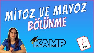 MİTOZ BÖLÜNME VE MAYOZ BÖLÜNME FULL TEKRAR TYT 2025 [upl. by Georgi]