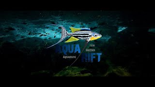 Jecod AF séries distributeur de nourriture poisson aquarium AQUARIFT [upl. by Arondel]