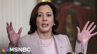 ‘MAGA world in MEGAmeltdown mode’ Republicans resort to ugly attacks against VP Kamala Harris [upl. by Tsan]