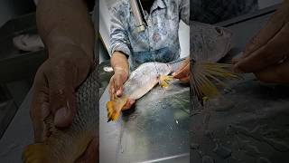 Giant sea POA fish cutting skills golden fish cutting video youtube youtubeshorts reels [upl. by Yddet371]