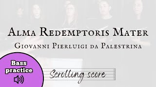 Alma Redemptoris Mater  Bass practice with score [upl. by Arahsit]