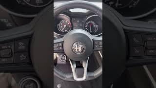 🚗 Alfa Romeo Stelvio 20 Benzina  Potenza e Lusso su ogni strada 🚗 [upl. by Eltsyek969]