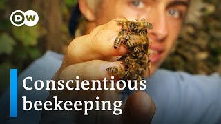 TikTok beekeepers make bee rescue a trend  DW Documentary [upl. by Forland]