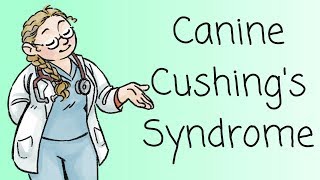 Dr Ferox on Cushings Syndrome [upl. by Andi]