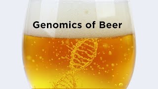 Genomics of Beer [upl. by Vita]