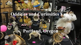 Aptly Named Oddities and Curiosities Expo [upl. by Dirtsa388]