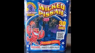 WICKED PISSAH BYPHANTOM BRAND FIREWORKS30 SHOTS 200 GRAM CAKE [upl. by Ahtis598]