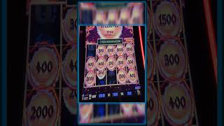 THE CRAZIEST HUGE JACKPOT ON HAPPY amp PROSPEROUS DRAGON LINK SLOT shorts [upl. by Yemrots]