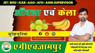 Banana amp Anola आंवला एवं केला  Pomology  Horticulture  SP Sir agriexampur7211 Banana Anola [upl. by Gracye]