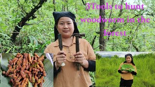 Hunting woodworm in the forest  Angami Naga  northeastindia [upl. by Baxy76]