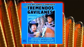 LOS TREMENDOS GAVILANES LOS MEJORES CORRIDOS [upl. by Rikki]