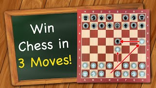 How to win Chess in 3 moves [upl. by Frederik]