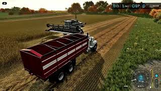 Farming Simulator 22 Soybean Harvest With a Gleaner L Combine [upl. by Ylus]