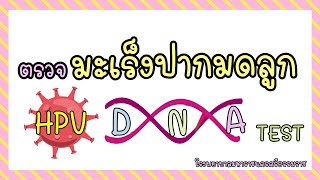 ตรวจมะเร็งปากมดลูกHPV DNA TEST [upl. by Nimzay558]