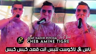 Amine Tigre 2023 • ناس في لاكوست تلبس انت ڨعد كبس كبس  تعاند في وردة  Avec Pitcha  قنبلة تيك توك [upl. by Chick]