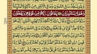 QuranPara1430Urdu Translation [upl. by Magna422]