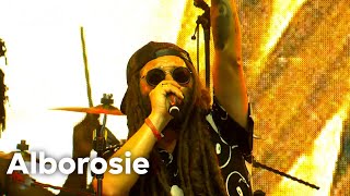 Alborosie  live at Lowlands 2023 [upl. by Eimarej]