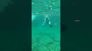 First Cenote Snorkeling Experience [upl. by Ahseinar]