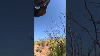 Max Gerston chasing Gary Sutherlin and Test 3 in the Tecate Enduro ￼ [upl. by Hallagan887]