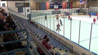 Farmington U10A vs Roseville District Game 3 [upl. by Adnarram652]