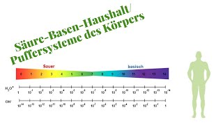 SäureBasenHaushalt Komplett erklärt für die Heilpraktikerprüfung [upl. by Beaumont]