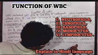 WBCwhite blood cellsleukocyteskya hai neutrophilsbasophilsesnophilslymphocytes and monocytes [upl. by Irahk]