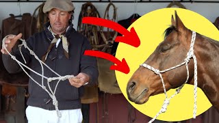 Cómo Hacer Un BozalJáquimaCabezal De Cuerda en 5 Minutos Rope Halter [upl. by Barcroft]