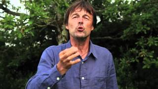 RIO 20  le soutien de NICOLAS HULOT au cacique RAONI qui milite pour sauver la forêt amazonienne [upl. by Seka]