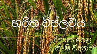 හරිත විප්ලවය  Agricultural Science for Advance Level Examination Sinhala medium [upl. by Aruat]