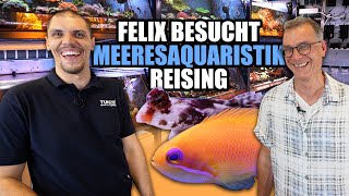 Felix Tunze besucht MEERESAQUARISTIK REISING [upl. by Attiuqram46]