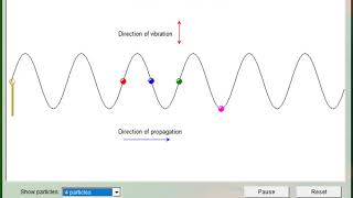 Transverse waves animation [upl. by Aihsetal]