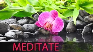 Meditation Music Relax Mind Body Relaxation Music Sleep Music Yoga Music Spa Music Relax ☯329 [upl. by Parke]