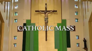 Roman Catholic Mass for November 10 2024 Thirtysecond Sunday in Ordinary Time [upl. by Atsyrhc]