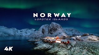 Lofoten Islands Norway  Dream Photography Workshops 4k [upl. by Linnie]