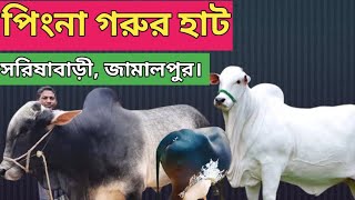 বাংলাদেশের অন্যতম বৃহৎ পাইকারি গরুর হাট।পিংনা।সরিষাবাড়ী। জামালপুর। Sarishabari।Jamalpur। [upl. by Nosremaj594]