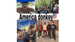 USA DonkeyAmerica donkeyUSA border crossing usadonkey border crossing 2numabri [upl. by Kulda]