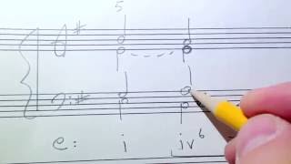 Phrygian Cadences Music Theory Discussion [upl. by Novak]