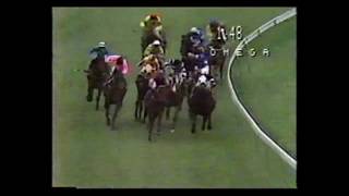 1987 Cox Plate  Rubiton [upl. by Ahtiekahs]