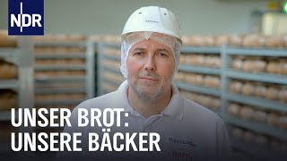 Handwerksbäcker Familienbetrieb und Brotfabrik Sie backen dein Brot  Unser Brot  NDR Doku [upl. by Nwahsed379]